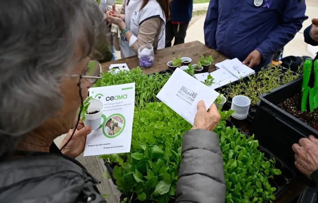 Val_Fabian's tweet photo. 💜 Nos encontramos en la #PlazaRivadavia para compartir, conversar y seguir poniendo en agenda algo que nos importa: el #Alzheimer y las demencias.

Acompañamos a quienes asisten y trabajan en el #CEAMA -Centro de Día Especializado en Abordaje Multidisciplinar de Alzheimer-, junto a los equipos de #Salud, y salimos a encontrarnos con los vecinos para compartir información, generar conciencia y visibilizar una realidad que atraviesa a muchas familias.

Entregamos los plantines🌱 que ellos mismos cultivaron en los talleres, compartimos lazos violetas y, sobre todo, generamos un espacio para hablar, escuchar y acompañar.

Porque detrás de cada diagnóstico hay una persona, una familia y una historia. Y como sociedad tenemos mucho para hacer: estar presentes, comprender, acompañar y construir espacios donde nadie tenga que transitar este camino en soledad.🙌

La huerta también nos enseña eso: que cuando ponemos las manos en la tierra y trabajamos juntos, algo nuevo empieza a crecer. 🌱💜

Gracias a cada vecino que se acercó, compartió este momento y fue parte de esta jornada.
Seguimos trabajando por una comunidad más inclusiva, más empática y con más lugar para todos. 

#CEAMA💜  #HuertasDeLaCiudad🌱