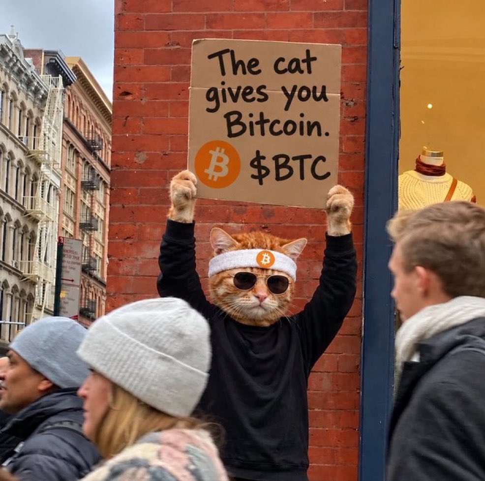 xbtfast's tweet photo. Sub $2m entry on a coin that yields $BTC https://t.co/pgxkHxIeJA