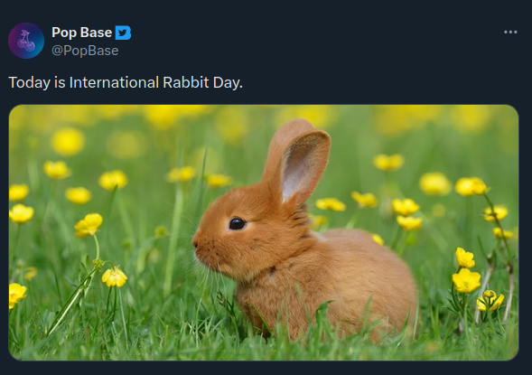 nathans_codes_2's tweet photo. same day as International Rabbit Day #veryinteresting https://t.co/zMLN2OdQE1