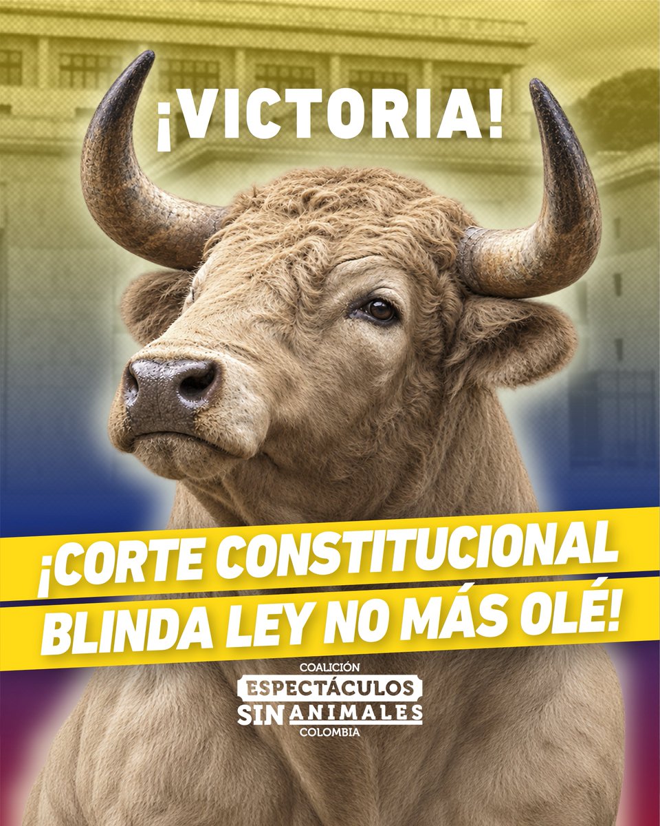 EspSinAnimales's tweet photo. #VICTORIA
La @CConstitucional declara exequible por tercera vez la Ley 2385/24: no hubo vicios de trámite ni violación a la libertad de trabajo.
La Sentencia C-312/26 se suma a la C-374/25 y C-429/25 en respaldo a la constitucionalidad de la Ley #NoMásOlé.
🐎🇨🇴🐂 https://t.co/n9rutXNRP6