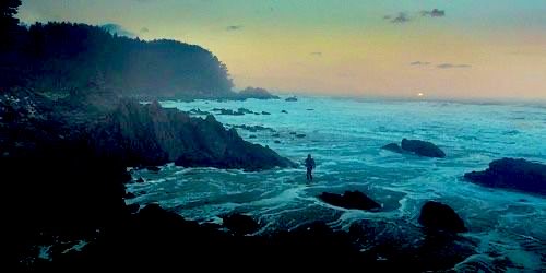 Jopolkadot's tweet photo. Decision to Leave

Park Chan-wook
2022 https://t.co/a9Erzlhdyl