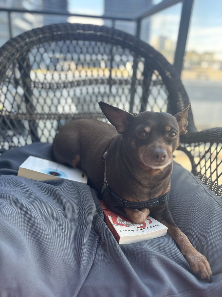 FastingFake's tweet photo. Read a book brown dog

Or the white dogs will kill ya

🍒𝕏[CHIRPBIRDICON]#BlackTwitter 𝕏[CHIRPBIRDICON]🍒

🕊️𝕏[CHIRPBIRDICON]#TwitterForGood 𝕏[CHIRPBIRDICON]🕊️ https://t.co/necvpPmCV4