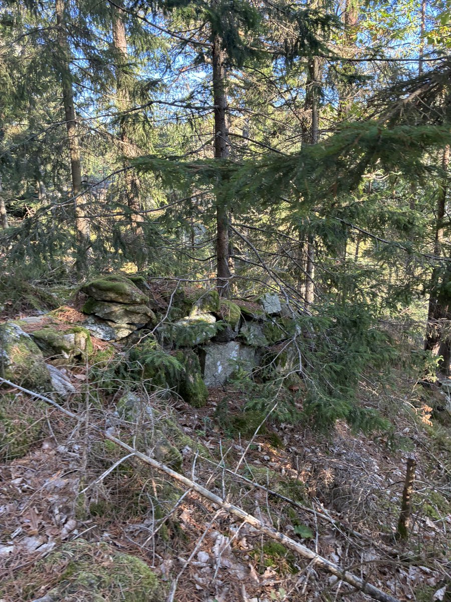 MrCharles2025's tweet photo. Saturday 26/9/2026 

Today was a lovely day on planet earth 🌍 

My day consisted off 

Gym 
Sauna 
Weekly recap/ journal 
Some cleaning 
Reading 
Meditation 
And a forest walk to search for some ancient Viking ruins 
 
(Found a stone wall)🤣 https://t.co/cw39qREZjG