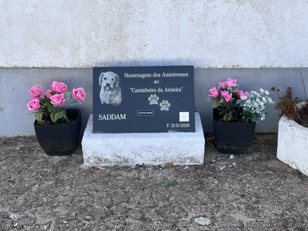 alxmiguelc2's tweet photo. Nas aldeias e vilas do "interior" encontram-se coisas virtualmente inexplicáveis. https://t.co/cakyOamApS
