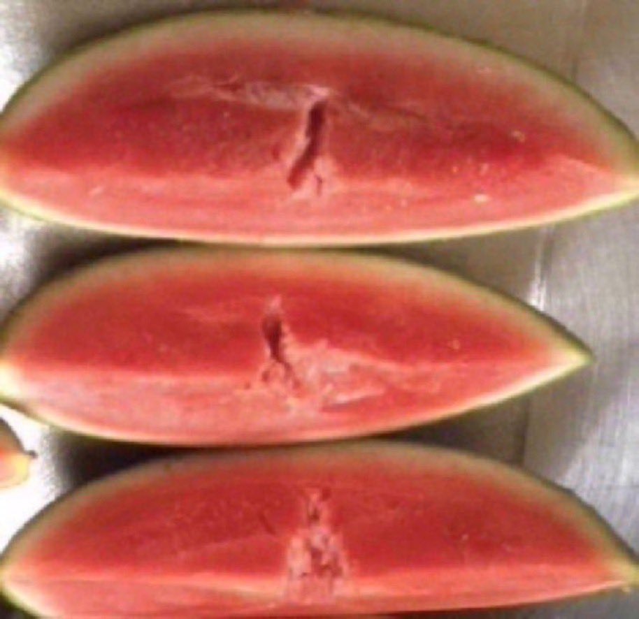 FitClubRicks's tweet photo. Today’s fruit watermelon 2 cups 1”cubes cal 92 carbs 23g fiber 1.2g protein 2g sugar 19g sodium 3mg. https://t.co/4dvxr748LZ