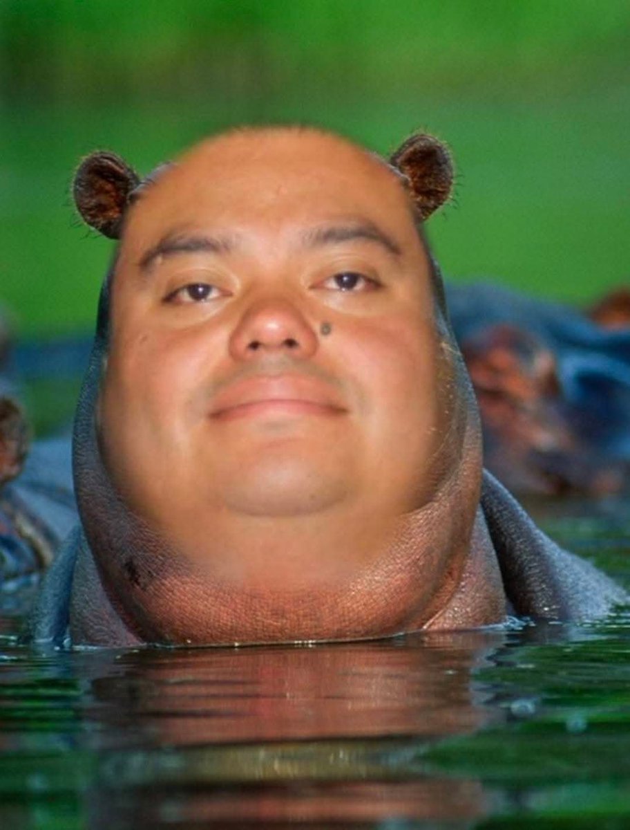 Saed_69's tweet photo. @AllanERodriguez @BArevalodeLeon ¡Oink, oink, oink! https://t.co/csMmORVrW3