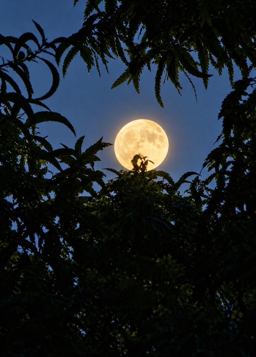 Prakashukla's tweet photo. Today is #Harvest Moon. 
First full #moon after equinox. 

#FullHarvestMoon https://t.co/isZj77zemz