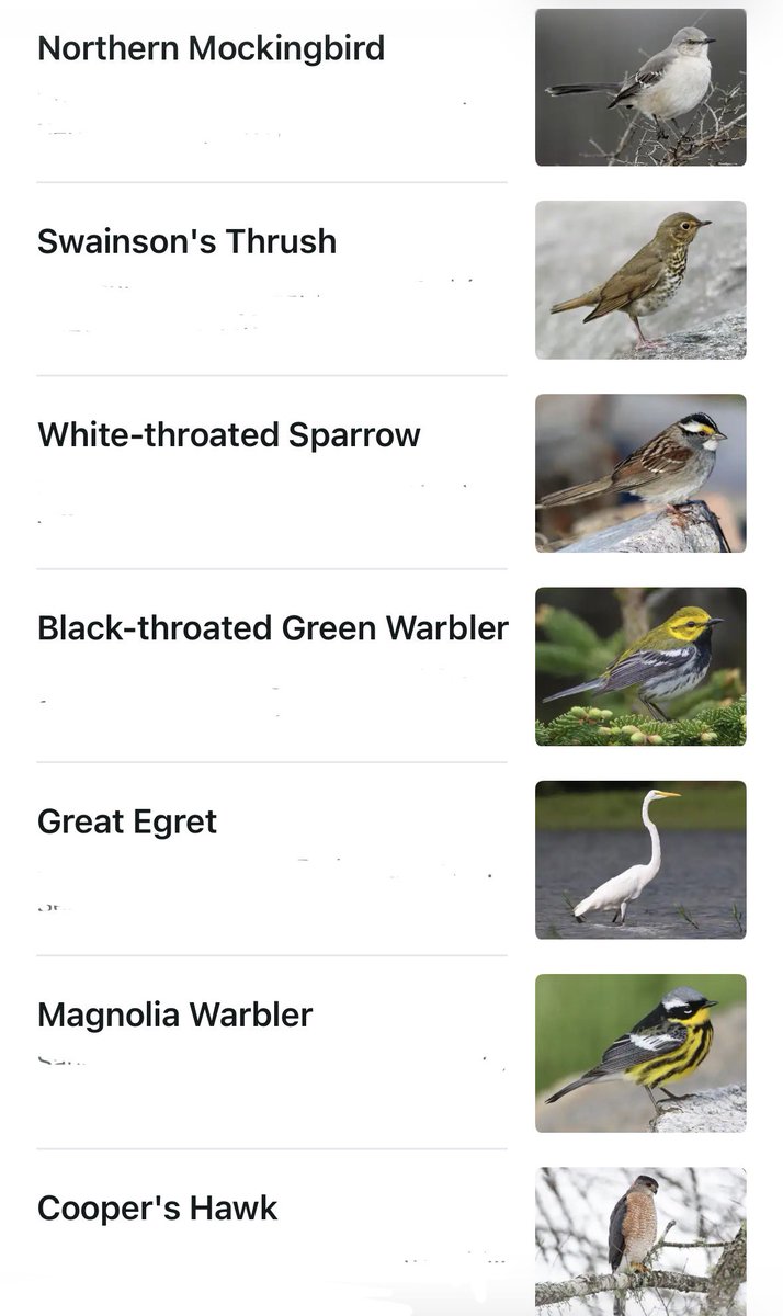 RockPigeonGuy's tweet photo. Haven’t posted in a while because I’ve been BUSYYY. Buttt here’s some lifers I got the other day!!! I love fall migration!!! https://t.co/OrCU25gpJJ