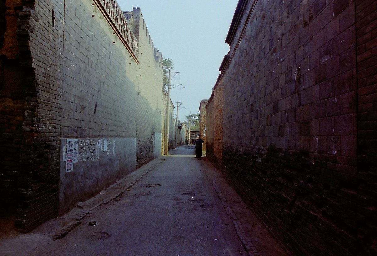 CePizzel's tweet photo. That narrow steep alley got filled with toxic fumes that scared everyone nearby, and even the stray cat dodged to avoid getting infected. https://t.co/z02nCy8zB1