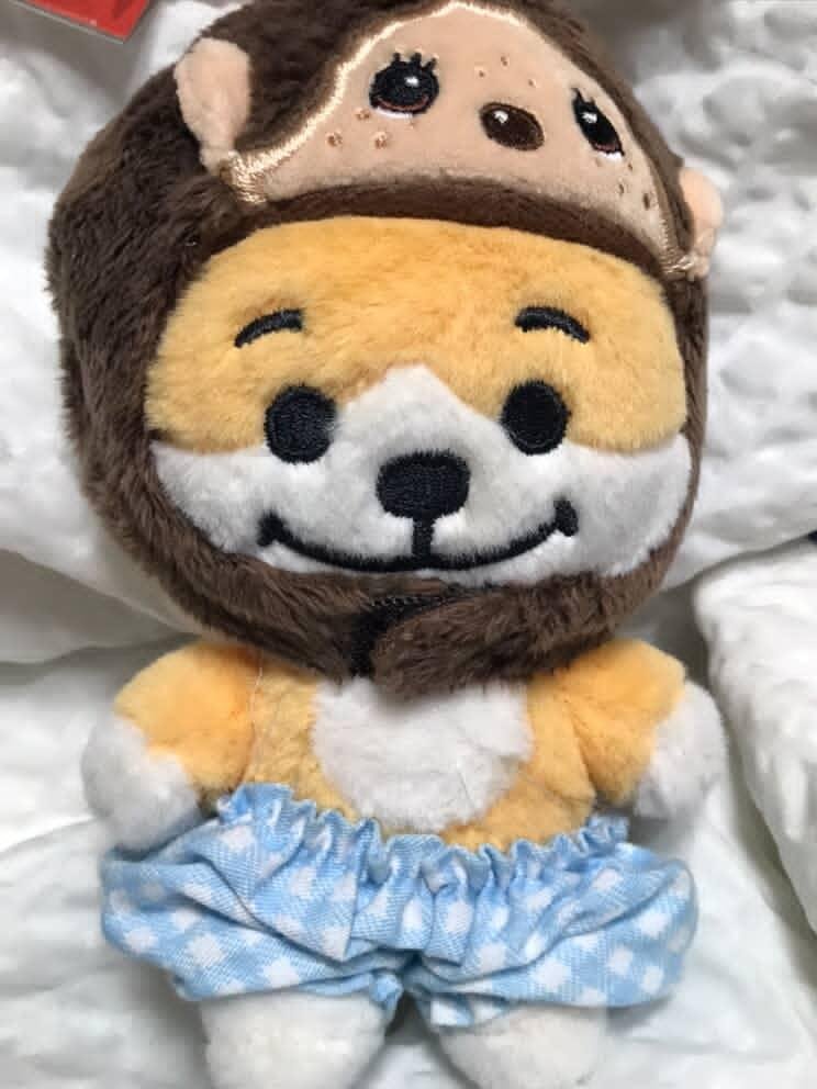 simdogiii's tweet photo. 아니터짐 https://t.co/1j2vy09mDl