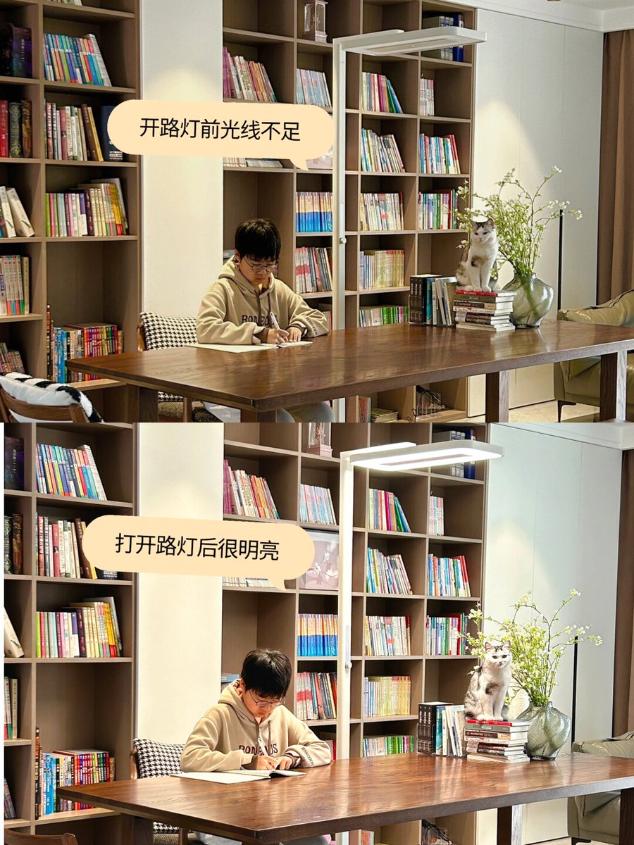 GwendaAca's tweet photo. Acabo de ordenar la estantería de la sala, ahora mis libros están alineados perfectamente y el café aún está tibio en la mesa. ， https://t.co/jLS4uOUJ8F