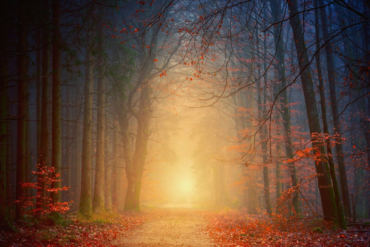 DTNEtiquette's tweet photo. You choose your path, and I'll choose mine. My path includes pushing myself to be a better human each and every day. ~ #DTN #MyPathUrPath #DoBetterBeBetter #ChoicesWeMake https://t.co/3HH6URHdYD