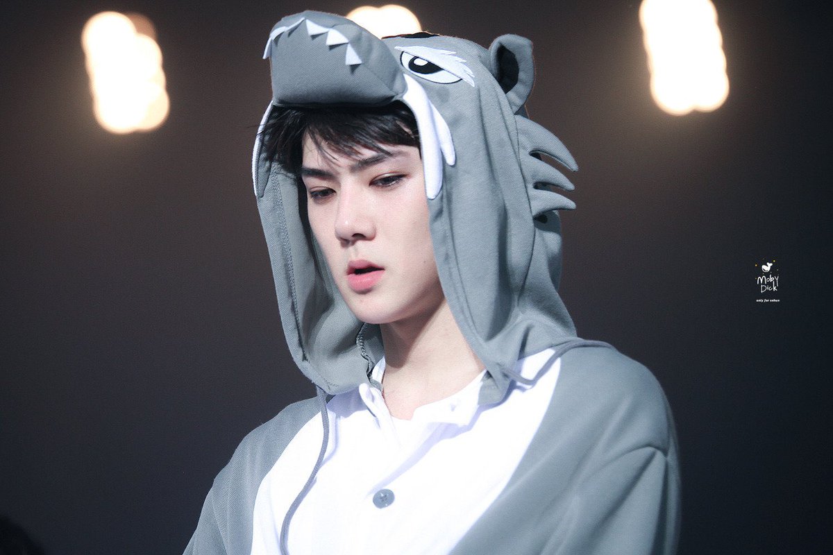 0hus120408's tweet photo. 세훈아 들었지? 조심해🐺🌕 https://t.co/QIur6x1Int