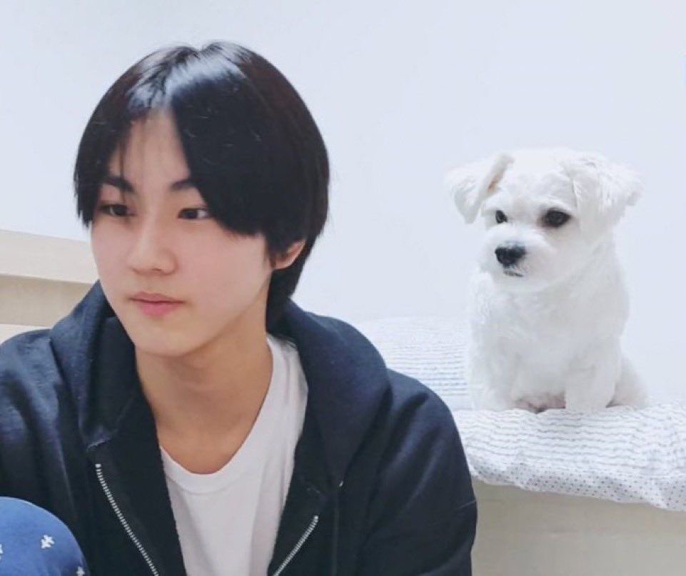 tjsxorl's tweet photo. 카메라는 같이 안봐줘도 같은 곳을 보긴 하는 사이 https://t.co/KCt0sbnaXj