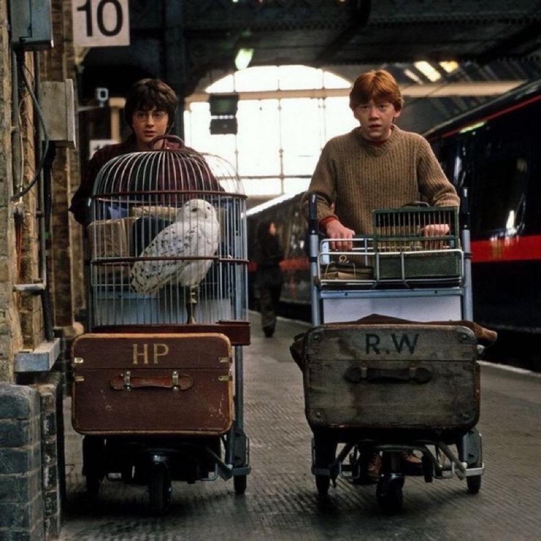 TheDailyHPotter's tweet photo. Where the friendship began 🥰 https://t.co/b6gfVWD84T