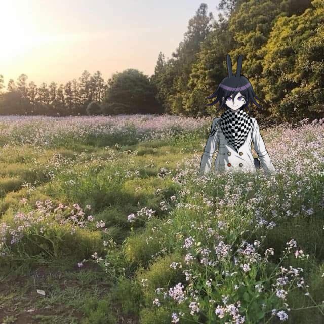 logicalkokichi's tweet photo. I’m a bunny yo https://t.co/6xzBjFQDb7