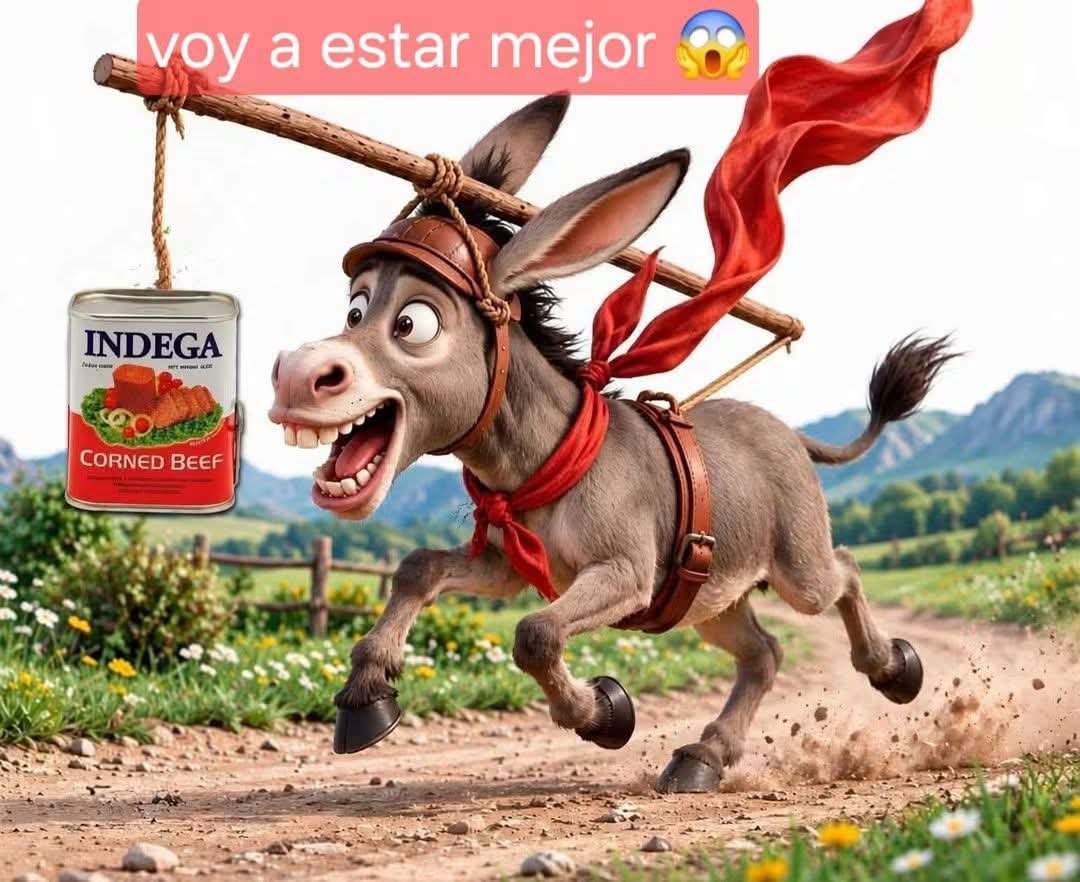 LucRod___'s tweet photo. @gato_con_bota @solenu https://t.co/QEfBSgZUGb