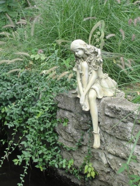 swampfae's tweet photo. https://t.co/Dt7lIpBoTV