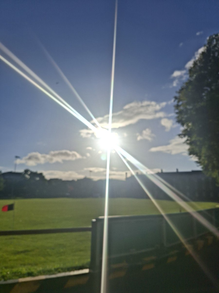 RaccoonCatGirl's tweet photo. #TrinityCollege #Dublin 🥰 https://t.co/SZgWqQKyxO
