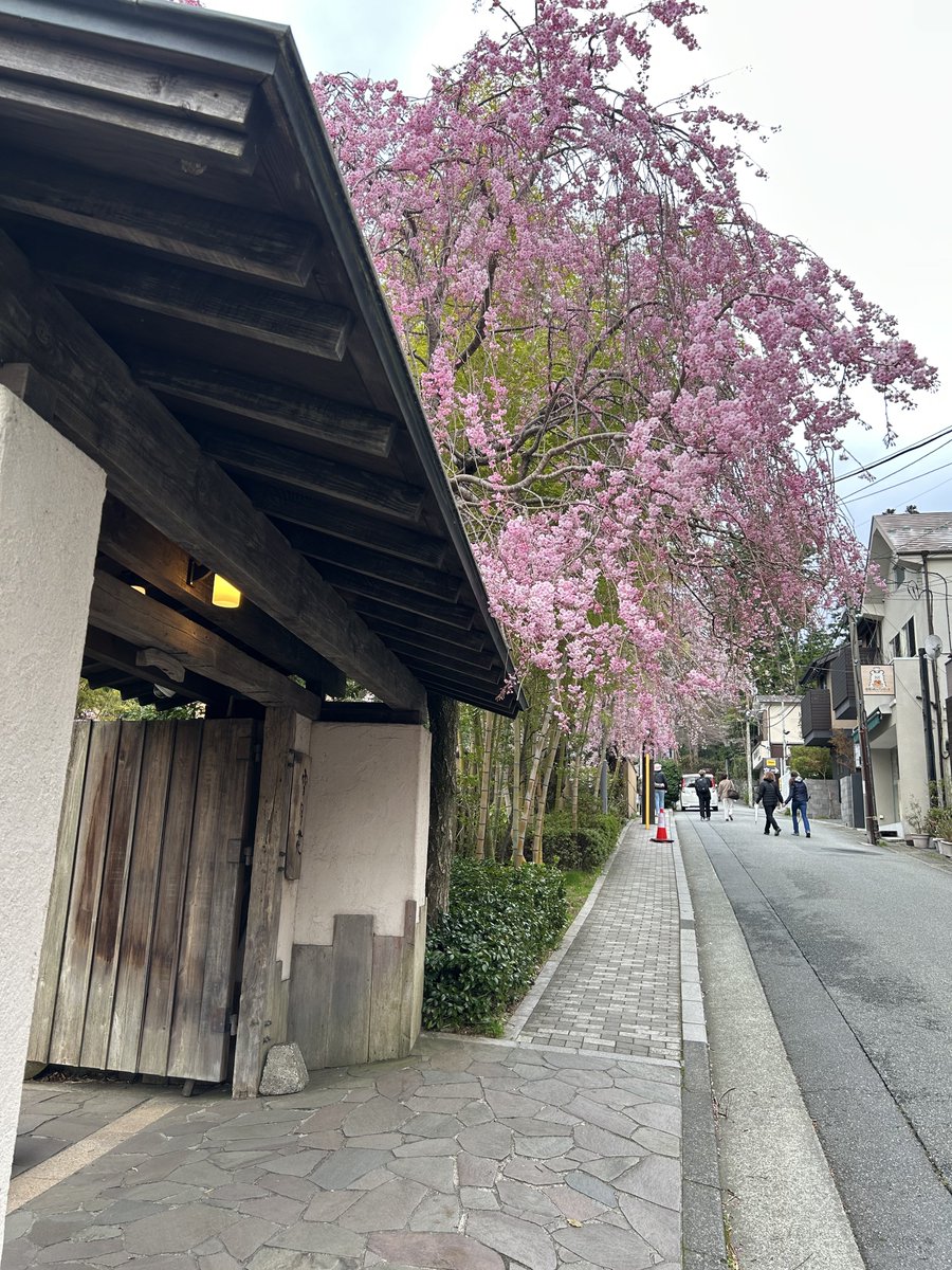 K_chirally's tweet photo. 箱根行きて〜山の美味しい空気吸って豆腐かつ煮とシュークリーム食べて温泉ゆっくり浸かってサウナで整って部屋でごろごろして程よく寝て朝から温泉入ってからの朝食からの東京向かってライブ楽しんだり推しに会って元気をもらったりあげたり癒されたり癒したりしてえ〜手のひらの中でああ踊っている〜 https://t.co/v533hTk2Y4