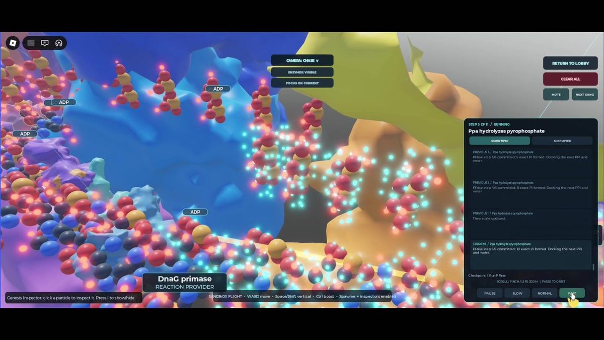 TheGenesisGame's tweet photo. DNA copying is a team effort at molecular scale.

Our guided E. coli replication showcase follows the machinery around a growing strand. See the footage, then explore Genesis Engine.

Watch: https://t.co/z6WtMNowWv https://t.co/8QR4G8Jplf