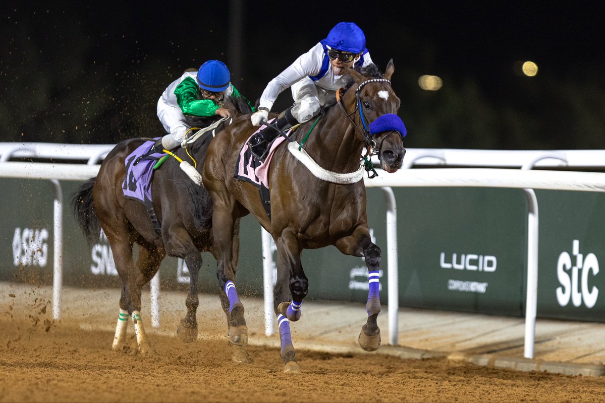 JockeyClub_SA's tweet photo. نتيجة الشوط التاسع | الحفل 20
برعاية @ALHAMMADI_HOSP 

◻️ الفائز: باور أوف بيوتي
◻️ المالك: الأمير سعود بن سلمان بن عبدالعزيز 
◻️ المدرب: متعب الملوح
◻️ الخيال: أليكسس مورينو
◻️ المسافة: 1600م

#نادي_سباقات_الخيل
#موسم_سباقات_الطائف https://t.co/1ML8S5hAKt