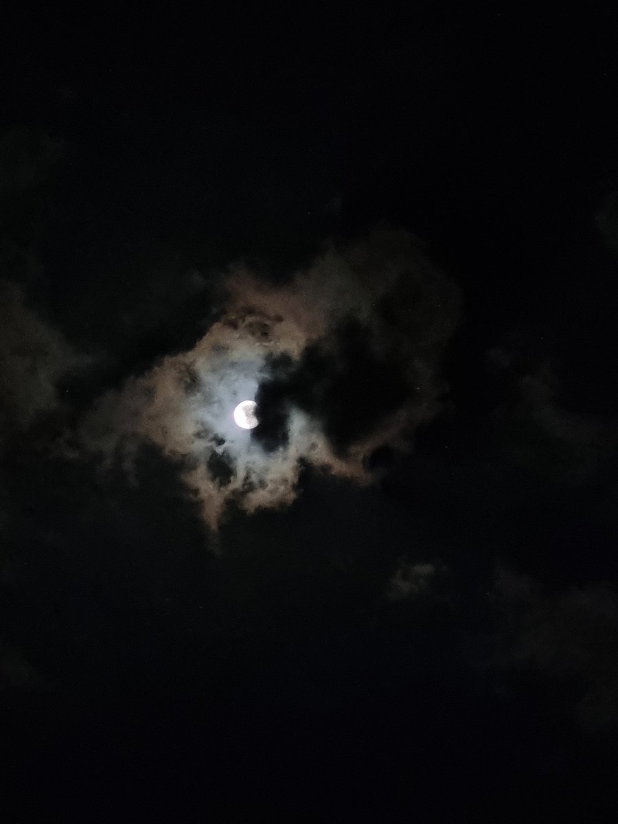 novanaymad's tweet photo. 26.9.26 ⊹ luna luce
‧₊˚ ☁️⋅♡𓂃 ࣪ ִֶָ⭒🌕⋆｡ﾟ︎ https://t.co/0bZ6P5e5Gc