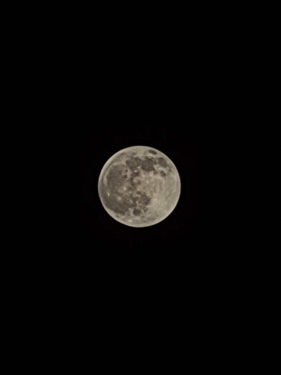 novanaymad's tweet photo. 26.9.26 ⊹ luna luce
‧₊˚ ☁️⋅♡𓂃 ࣪ ִֶָ⭒🌕⋆｡ﾟ︎ https://t.co/0bZ6P5e5Gc