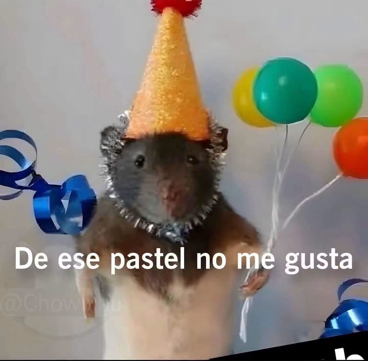 ElJeringasLoko's tweet photo. Yo en una fiesta que no es mía https://t.co/QHN9S1vqnf