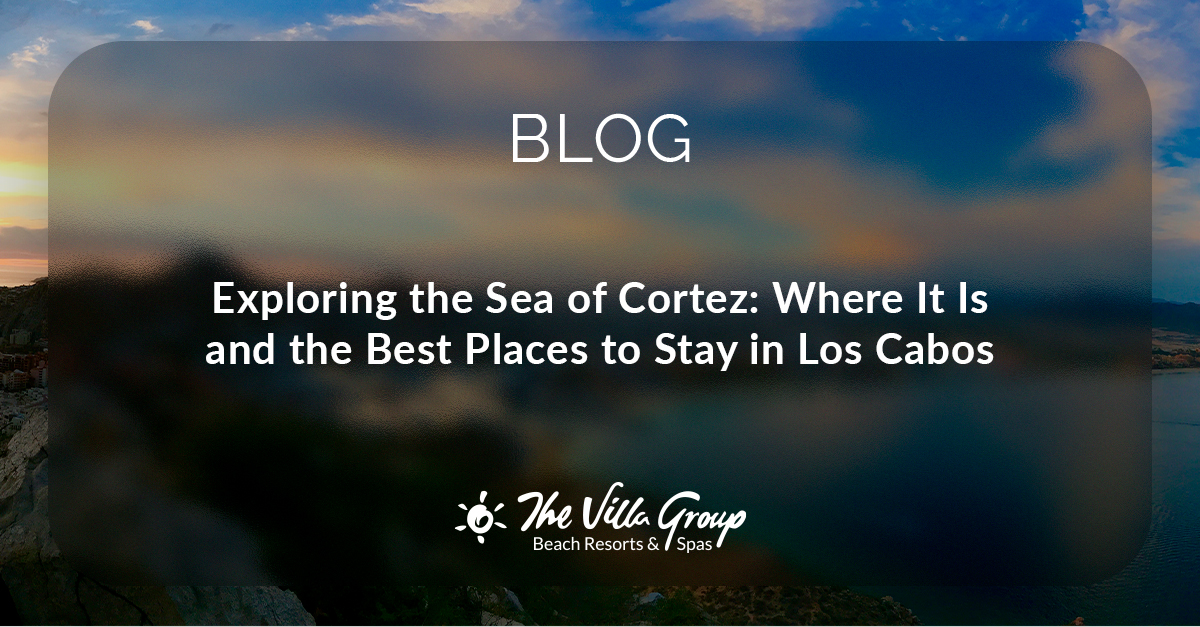 villagroup's tweet photo. Ever wondered what makes the Sea of Cortez the "Aquarium of the World"? Discover where it is and the best places to stay in Los Cabos to experience it.

Read more on the blog. https://t.co/cyhc94regw https://t.co/M3ksedoLhN