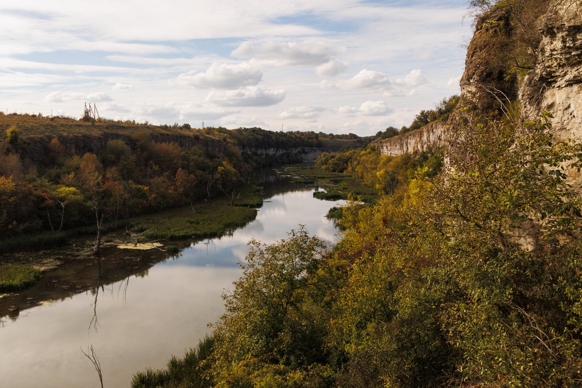 oh_thoes's tweet photo. Мертві дерева не кажуть н̶і̶ ̶"Молодий чоловік шо ви тут фотографуєте?" https://t.co/WeVXdb1Vjv