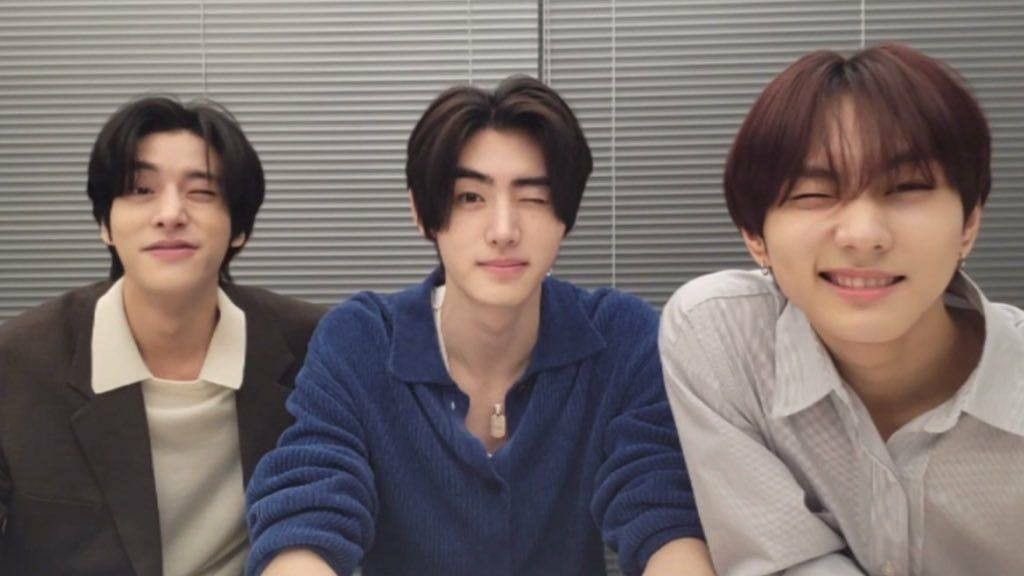 akdmadlsnsk's tweet photo. 개개냥 보면 마음이 안정됨🥰 https://t.co/WDOwl0dQHC
