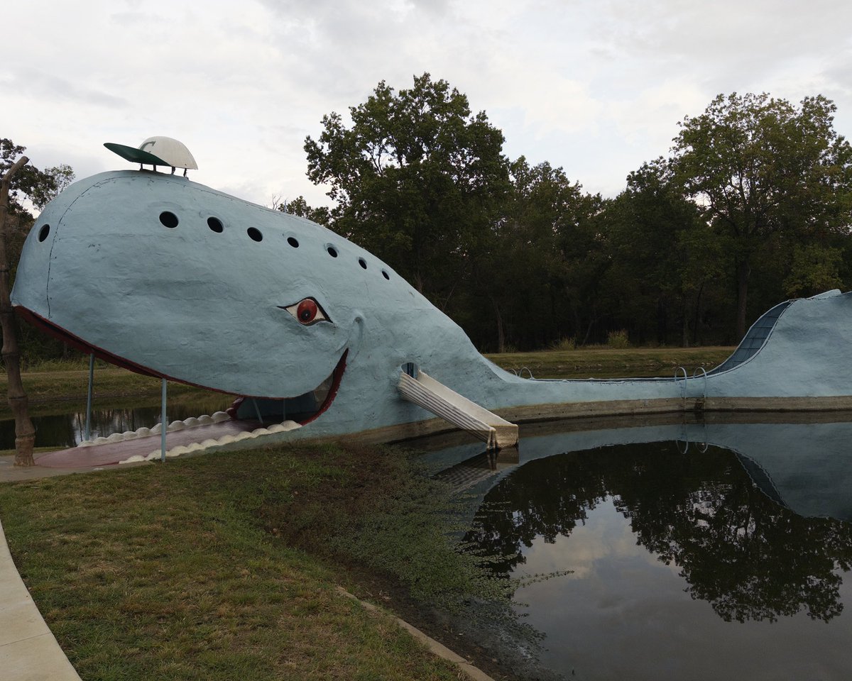 untiloasis's tweet photo. they just do stuff in oklahoma https://t.co/rrPZf1Qd5b