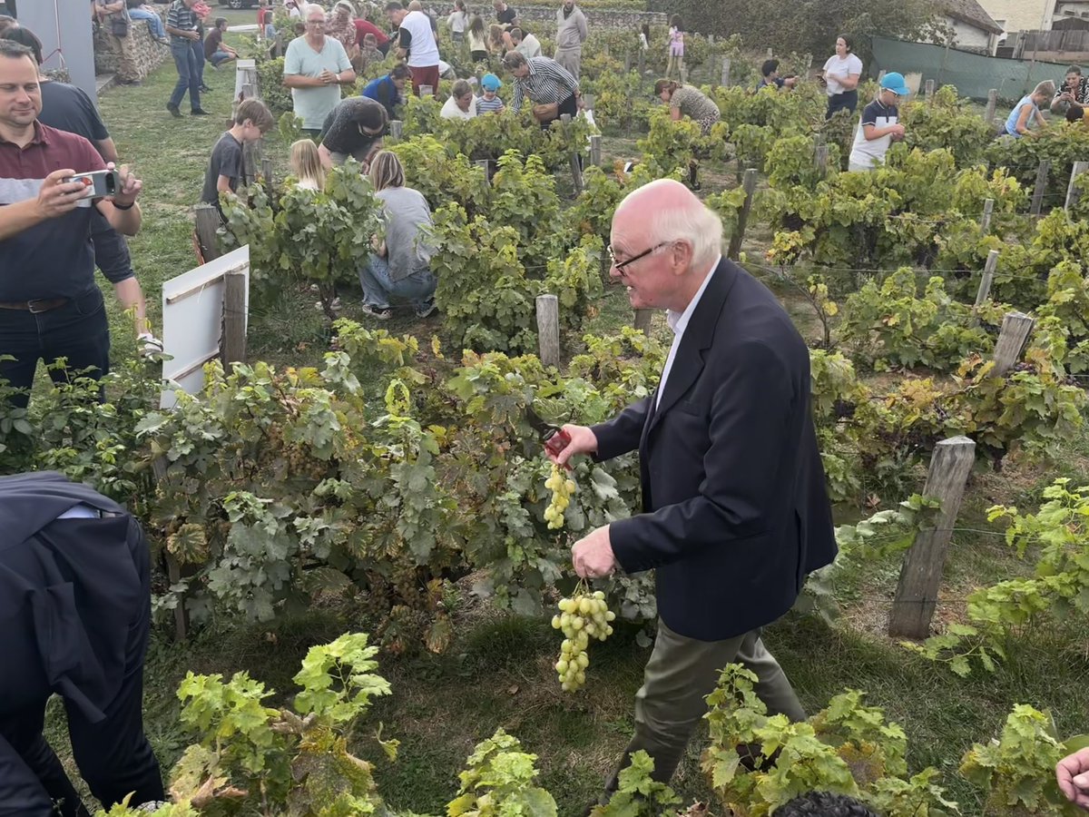 EPYvelines's tweet photo. Les vendanges, une tradition qui rassemble !

@PStefanini78, conseiller départemental du canton, représentait @pierre_bedier, président du Conseil départemental des Yvelines, à l’occasion de la traditionnelle Fête des vendanges de #Tacoignières.
 
Un rendez-vous placé sous le signe de la convivialité et du partage, qui fait vivre les traditions et le patrimoine de notre territoire. 🍇

#Yvelines #Tacoignières #FêteDesVendanges