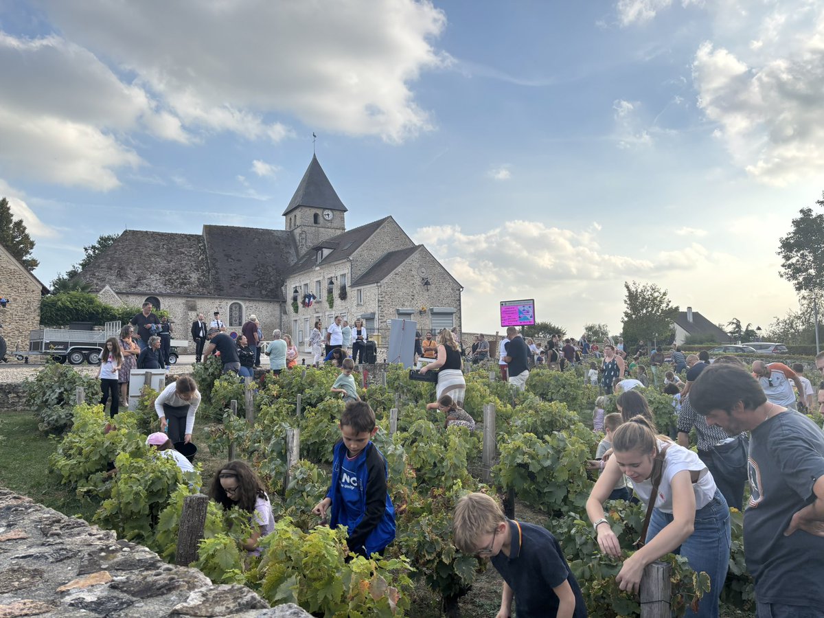 EPYvelines's tweet photo. Les vendanges, une tradition qui rassemble !

@PStefanini78, conseiller départemental du canton, représentait @pierre_bedier, président du Conseil départemental des Yvelines, à l’occasion de la traditionnelle Fête des vendanges de #Tacoignières.
 
Un rendez-vous placé sous le signe de la convivialité et du partage, qui fait vivre les traditions et le patrimoine de notre territoire. 🍇

#Yvelines #Tacoignières #FêteDesVendanges