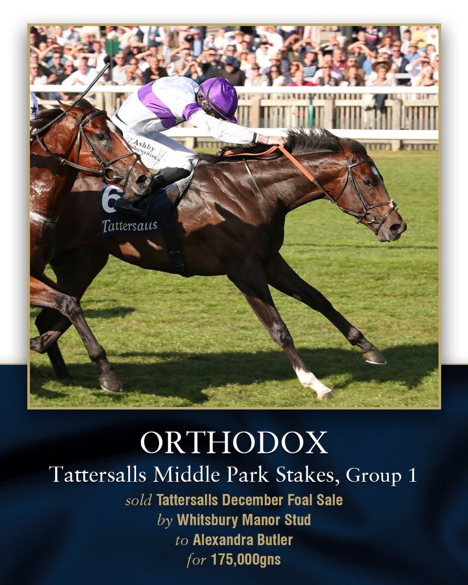 Tattersalls1766's tweet photo. 🏆🏆🏆 https://t.co/GfAdbHNYbI