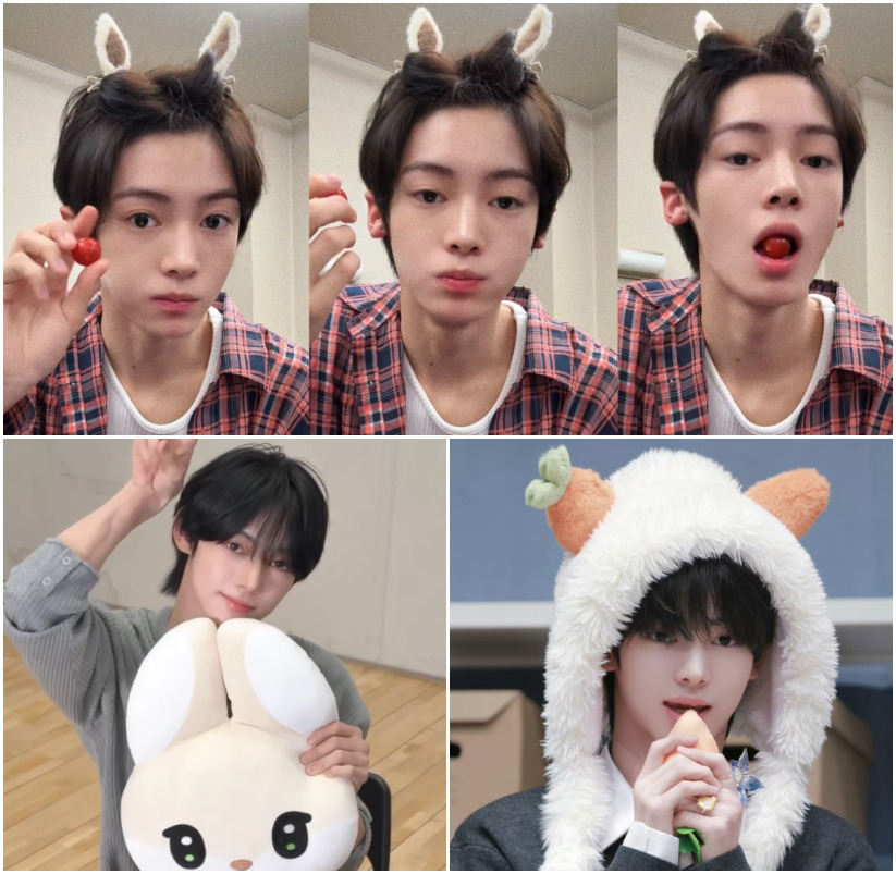 boljjaeppang42's tweet photo. Happy Hanjin day 🐰 https://t.co/kgKUydrt9K