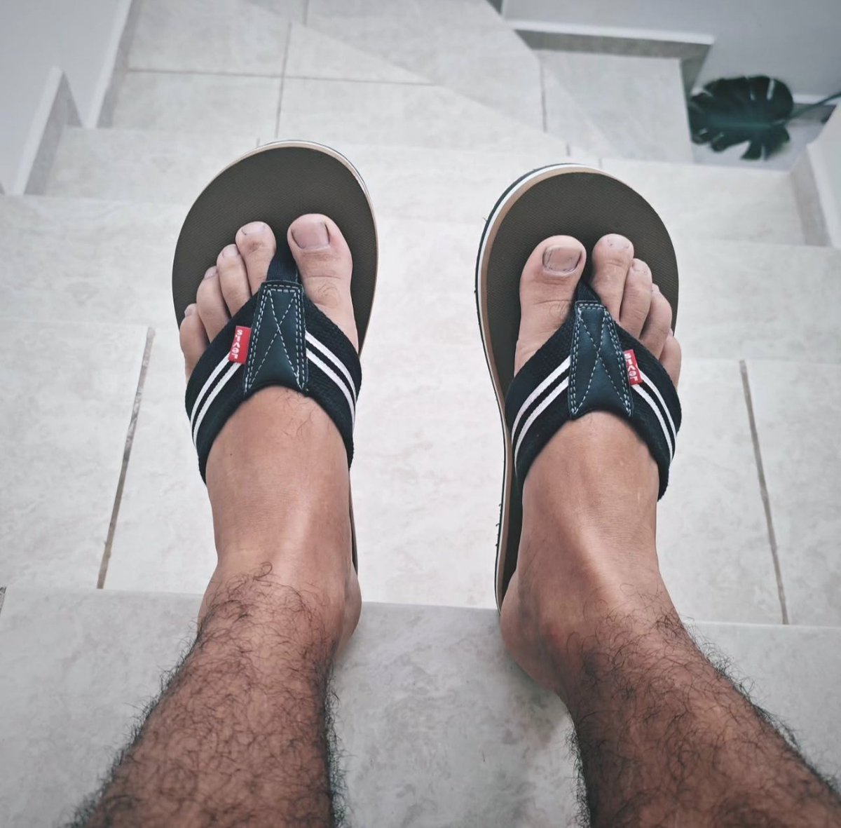 SolesSecrets69's tweet photo. 👣 Listo para el camino ✨
 
Con paso firme y sin prisas 🔥
 
¿Cómo vas tú? Cuéntame 👇😊
 
👣 Ready for the road ✨
 
Steady pace, no rush 🔥
 
How's it going? Tell me 👇😊

#feet #mensfeet #flipflops #casualstyle #footgoals #comfort #barefootvibes #feetfetısh https://t.co/dbY0i29g47