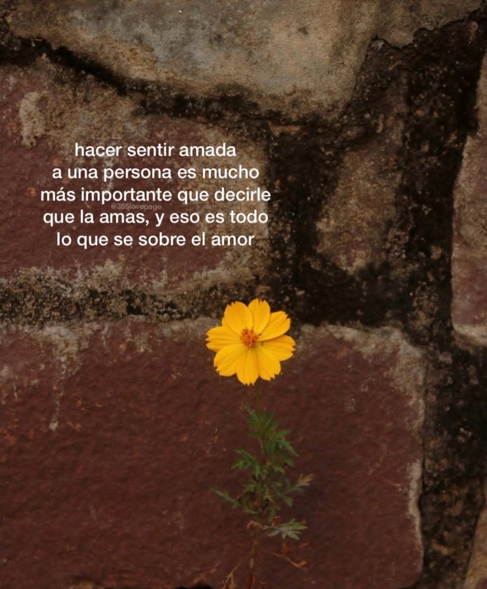 AreSoloSuyaP's tweet photo. Y eso es todo... https://t.co/liwdGqCKE6
