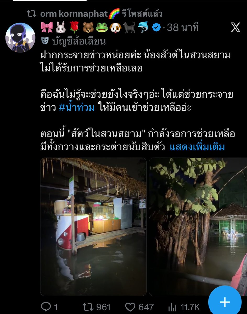 deviljangkty's tweet photo. @warmrain_ https://t.co/A6cn1jra6E