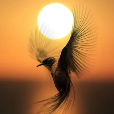 Dn_z221's tweet photo. #YeniProfilResmi https://t.co/KQvCLOZNRG