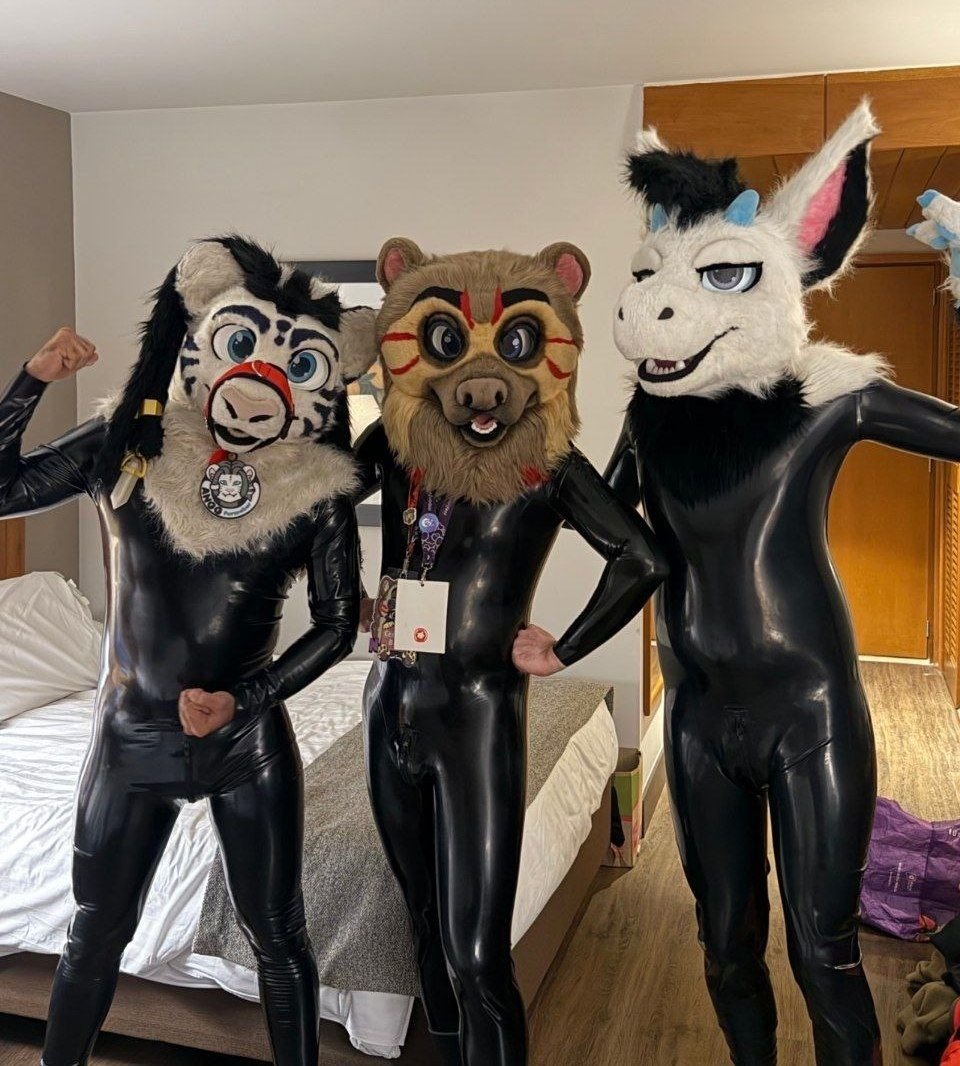 ShinyAndeanBear's tweet photo. Three Shiny Boys ™ https://t.co/wqjkU67ZLB