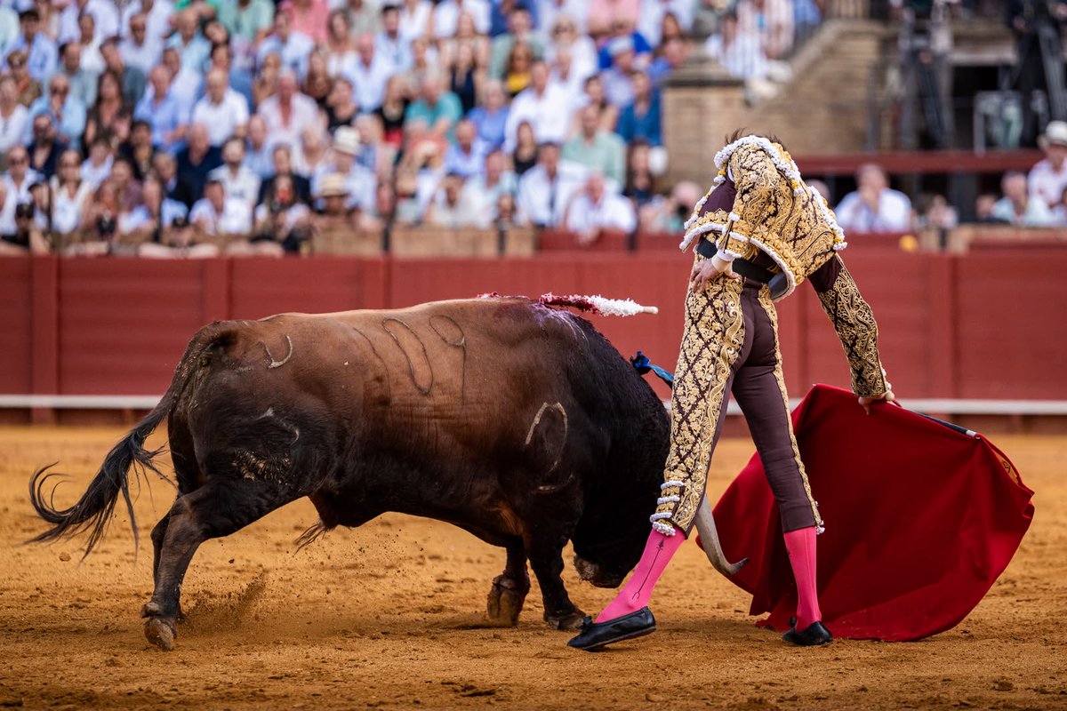 RocaRey's tweet photo. Silencio en el primero del lote de Roca Rey en Sevilla. https://t.co/9rfSNzjiMi
