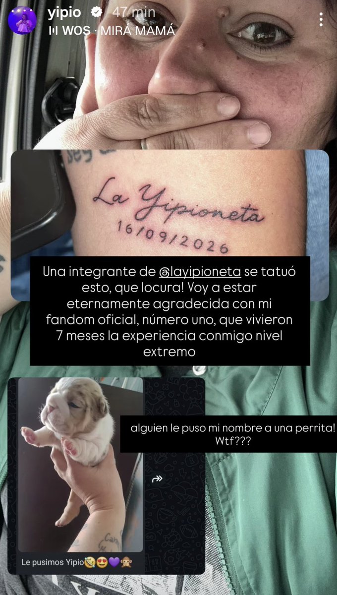 rominaponzio's tweet photo. 💥 YIPIO SE EMOCIONA POR RECIBIR MUESTRAS DE CARIÑO DE LA GENTE

Así lo manifestó mediante su cuenta de Instagram

#Yipio #Instagram #Tatuaje #Yipioneta #Nombre https://t.co/EktEFam4gR