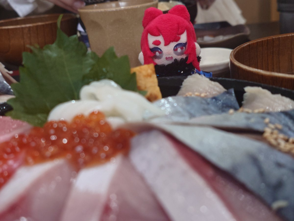 Fuuuuu_ji_'s tweet photo. ここの食事美味しすぎて🤤🤤関東でもなかなか食べられないと思う　🐟️好きの方は絶対行って欲しい〜焼き魚や刺身定食などもありました

🐱属性のキャッツも満喫 https://t.co/4QdqFhcxJE