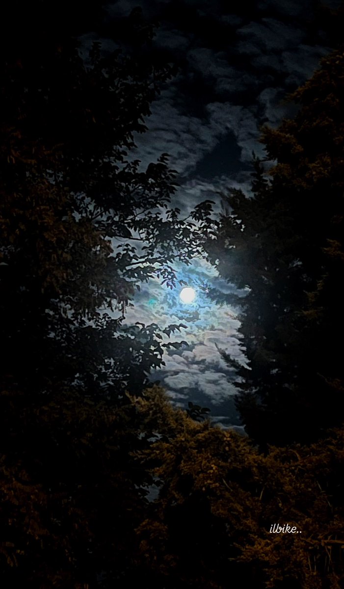 ilbike_'s tweet photo. أبهى شامة على جسد هذا  الليل

#Nıght 
#FullMoon https://t.co/42KqtGK1Vw