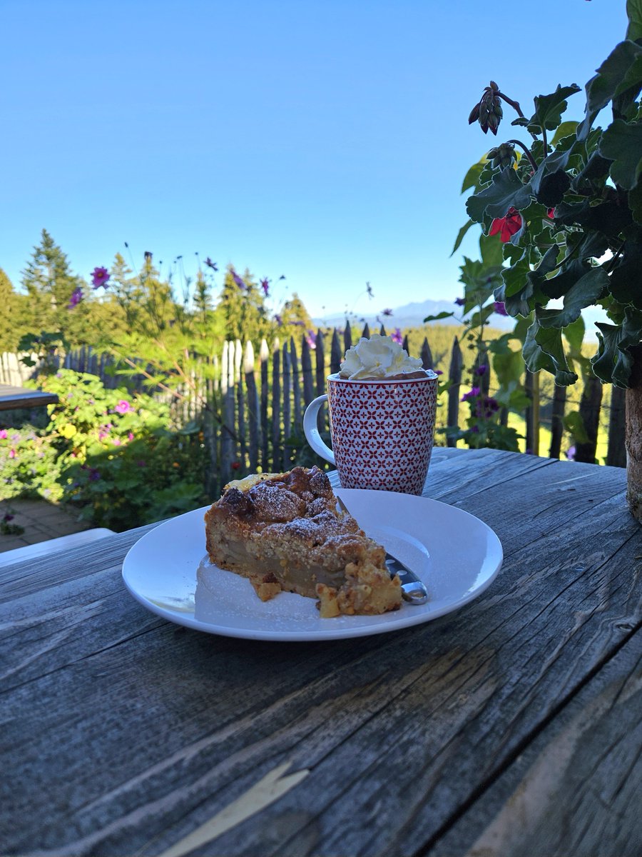tiiyamisu's tweet photo. apfelkuchen und heiße schokolade auf der alm nach einer 5h wanderung https://t.co/pA0EWzbtG3