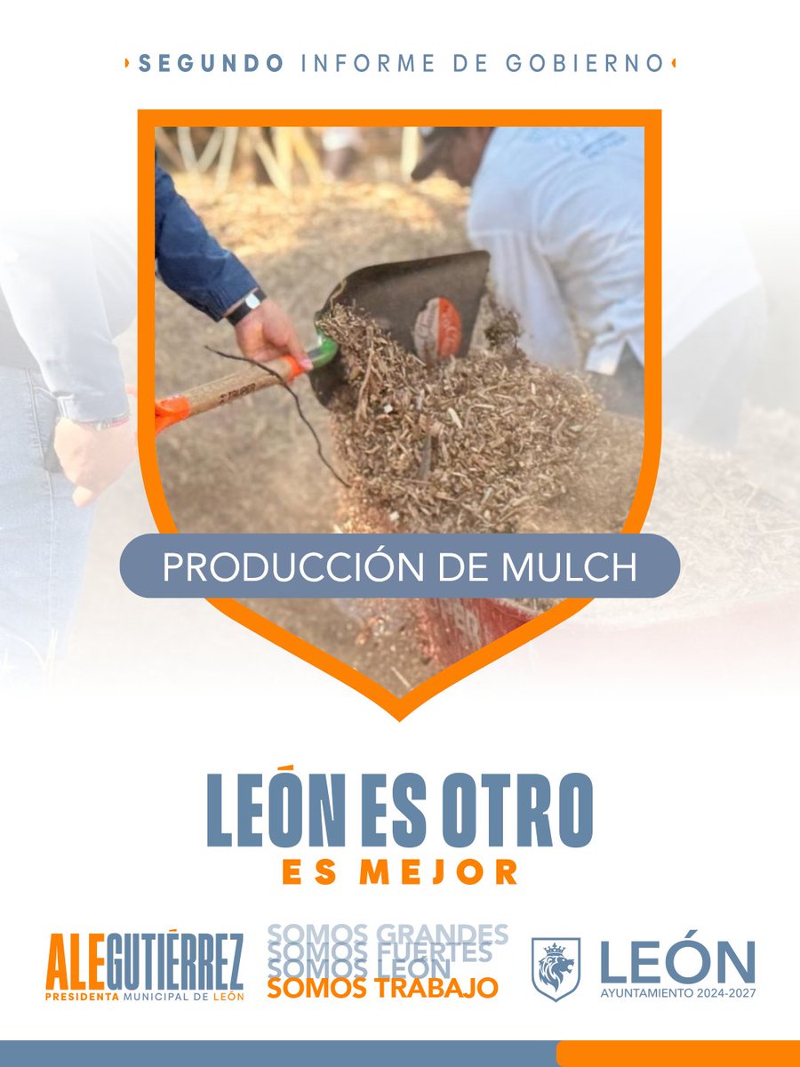 parkmetroleon's tweet photo. ♻️ En el parque, las ramas y residuos de poda se transforman en mulch para seguir cuidando y fortaleciendo nuestras áreas verdes. 💚

#2InformeAle #MásBonitoQueNunca #LeónEsMejor #LeónEsOtro https://t.co/vtQJla33Rc