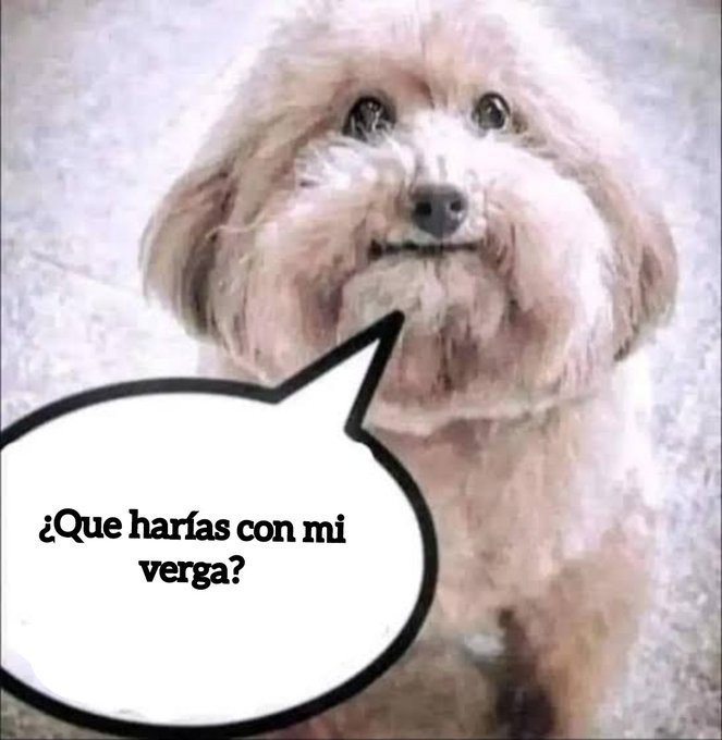 Hanaki_56's tweet photo. "ayy que guapo" https://t.co/PeEyjZkuvo