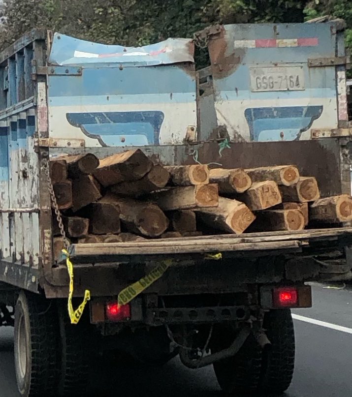 Embajadorapoeta's tweet photo. @InfoViaLaCosta @ATM_Transito Y ahí va la ¿poda de árboles de esta alcaldía? O donde dejaron sin árboles 🌳 un descaro que asusta como depredan sectores - dejan solo troncos 🪵 y nadie defiende la flora aunque denunciamos @MAE_Zonal5  aparte un carro destartalado y sigue circulando https://t.co/NSRiMtY97F